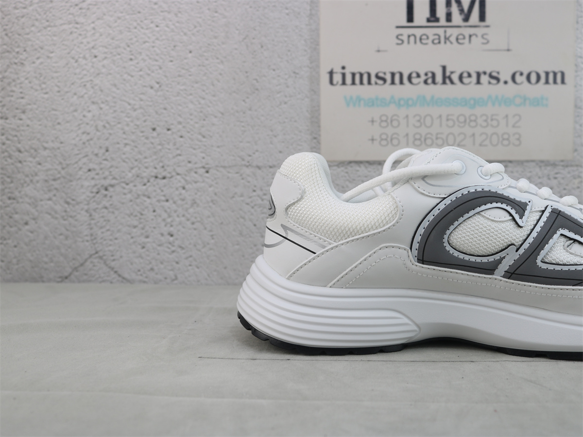 Dior B30 SNEAKER White Mesh and Technical Fabric